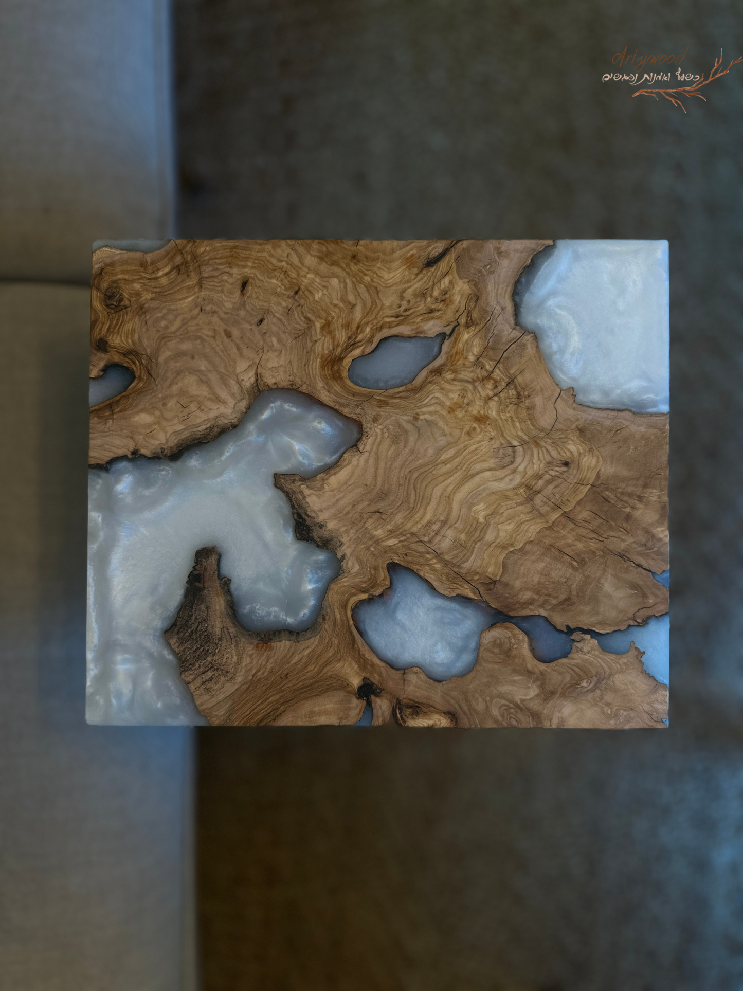 נשכן צד בשילוב עץ זית ואפוקסי קריסטלי